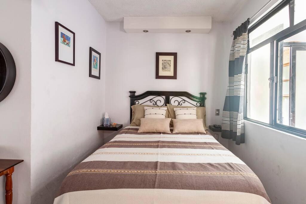 Flor Del Cielo Apartment Oaxaca Ngoại thất bức ảnh