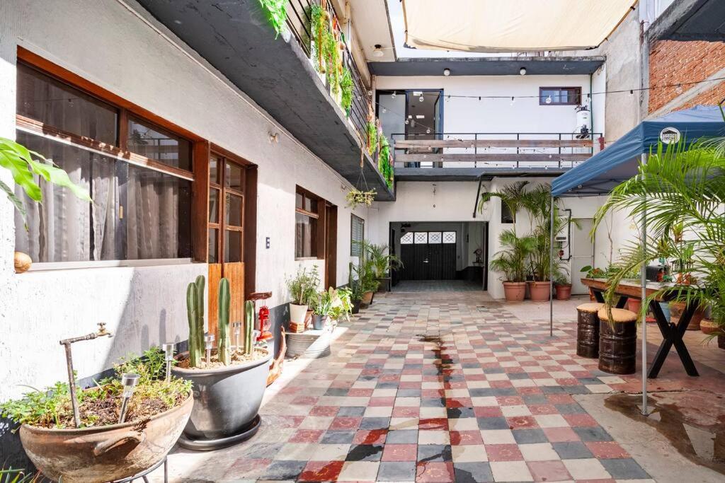 Flor Del Cielo Apartment Oaxaca Ngoại thất bức ảnh